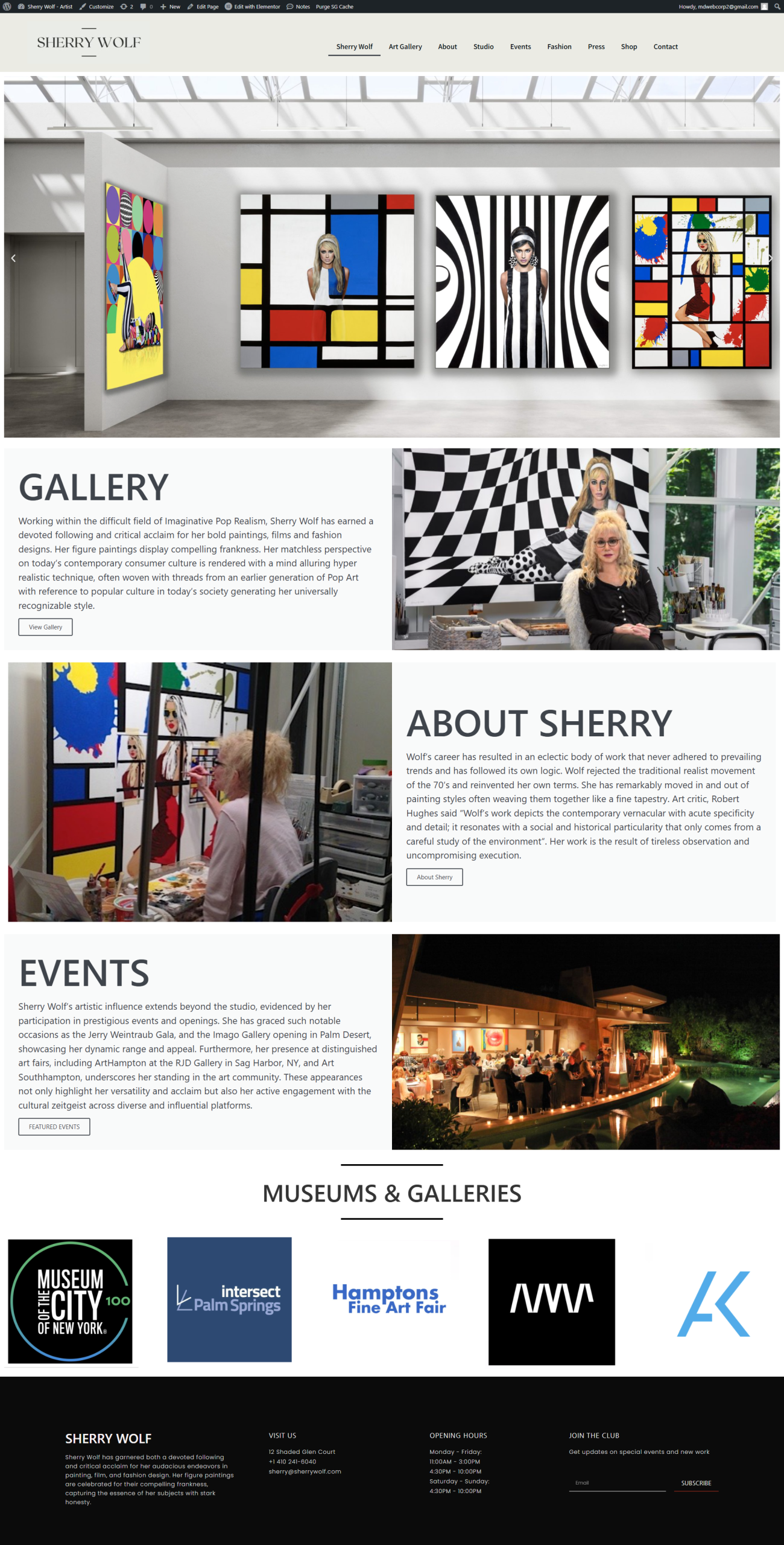 baltimore-web-design-sherry-wolf